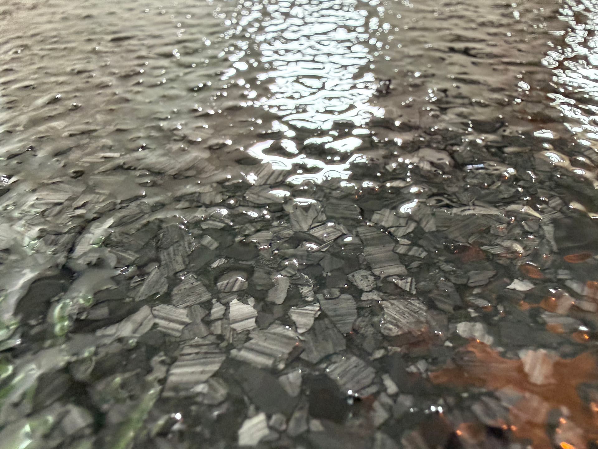 Gallery photos for Carbon Flake Epoxy Floor System Installed at a Lakeside Cabin: Image #7